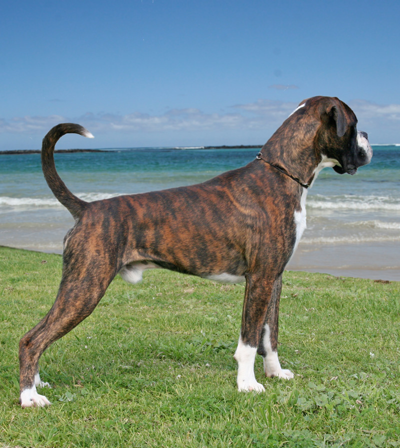 arken_beach Street Boxers From Above (import Norway)