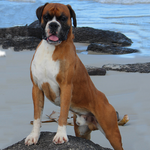 deek-beach-gallery
