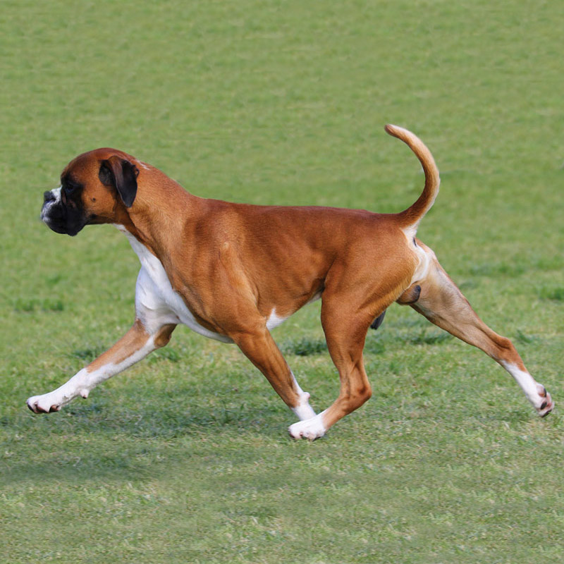 deeks-move-gellery