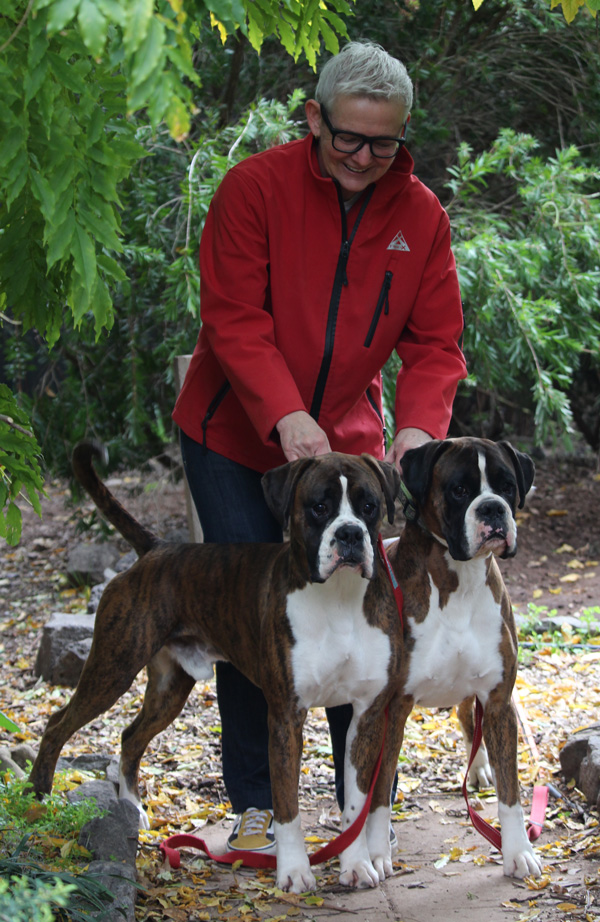Supreme Champion Kesdar Kindred Spirit (Hunter) and his son, Champion Kesdar Fifty Shades Darker at Tonmar (Marcus) Jen with Supreme Champion Kesdar Kindred Spirit (Hunter) and his son, Champion Kesdar Fifty Shades Darker at Tonmar (Marcus)