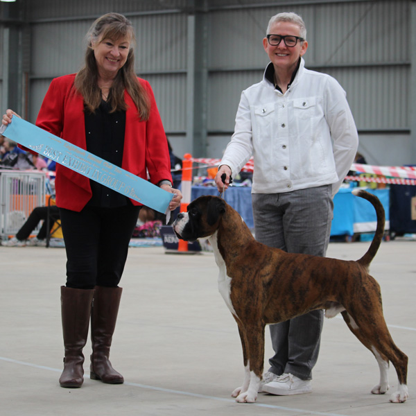 hunter-best-in-group-bendigo