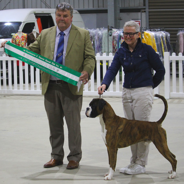 hunter-best-in-show
