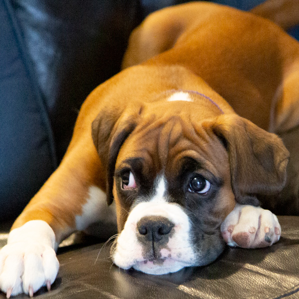 milly-baby-1