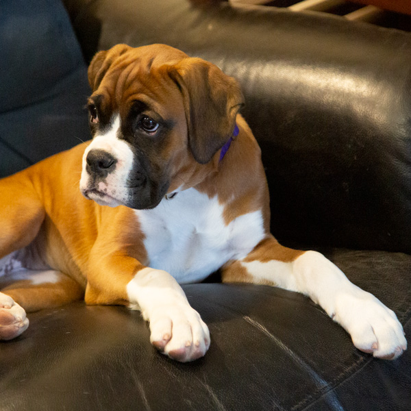 milly-baby