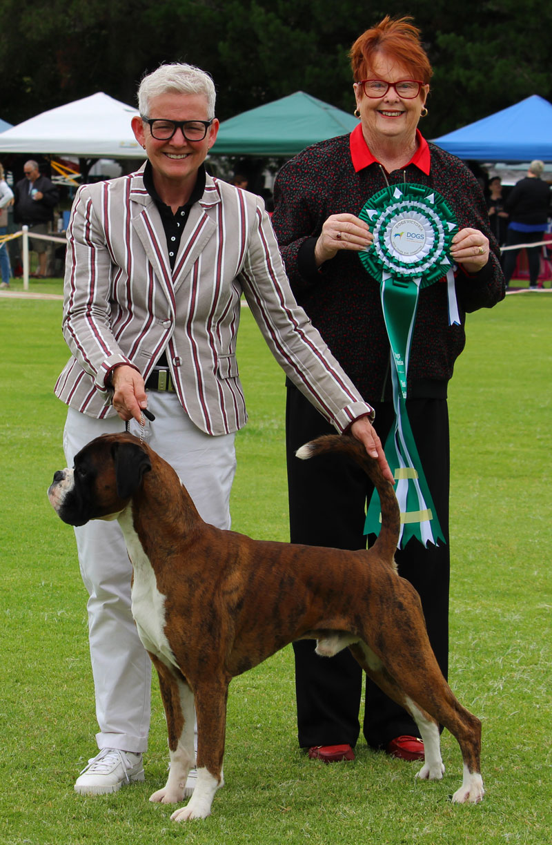 Hunter-Best-In-Show-2023