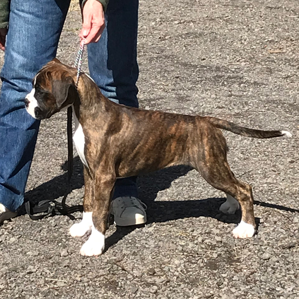 murphy-12-weeks