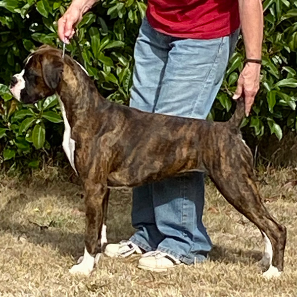 murphy5-5-months