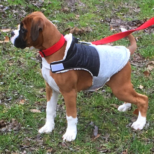 milly-walk-1
