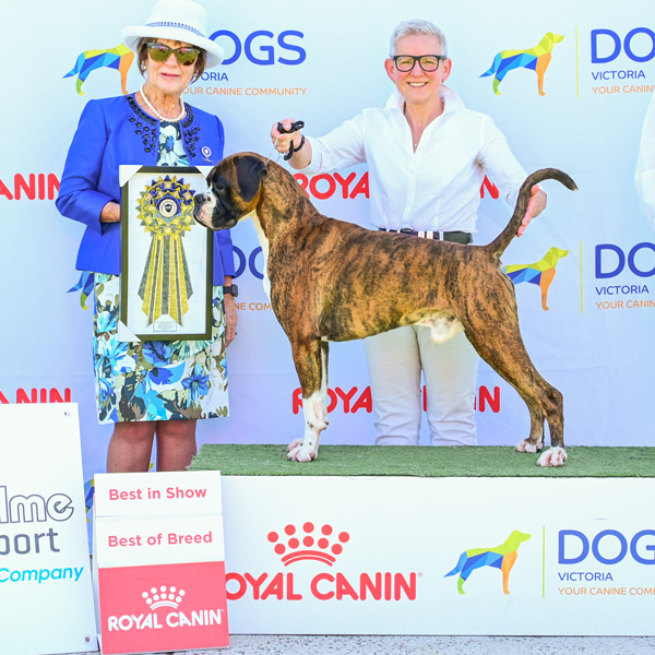 marcus-bis-stephanie-rickard Champion Kesdar Fifty Shades Darker at Tonmar (Marcus)