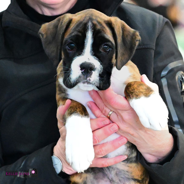 indi-9weeks-crop