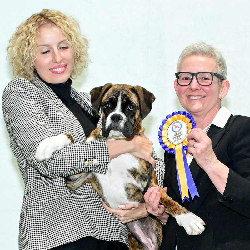 indi-judge