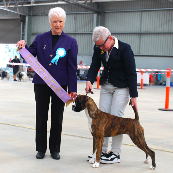 indi-minor-bendigo Indi Minor in Group at Bendigo Agi Show