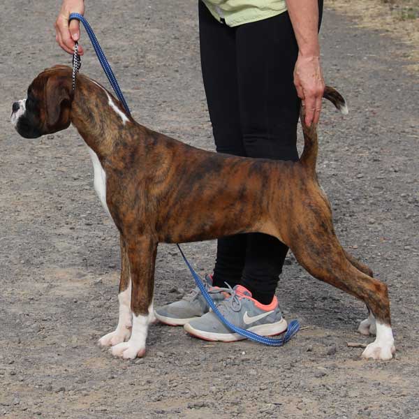 soli-4-months-training