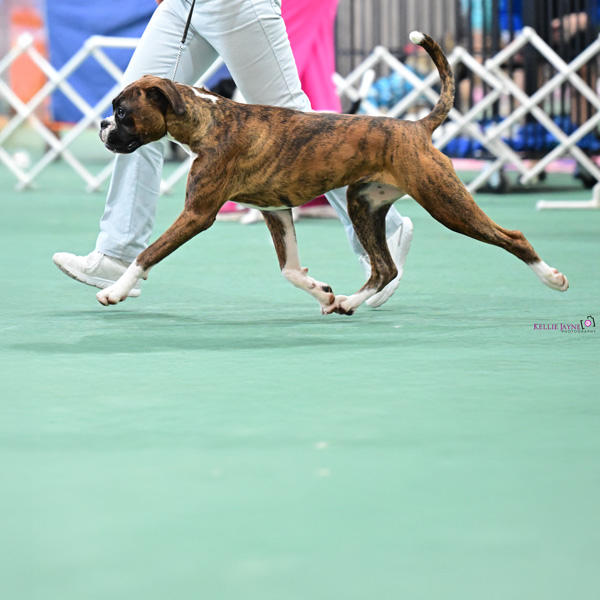 soli-9-months-move