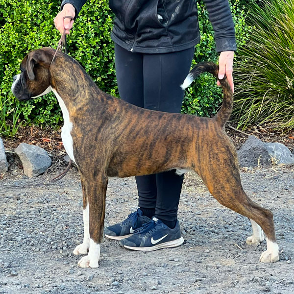gibbs-8months