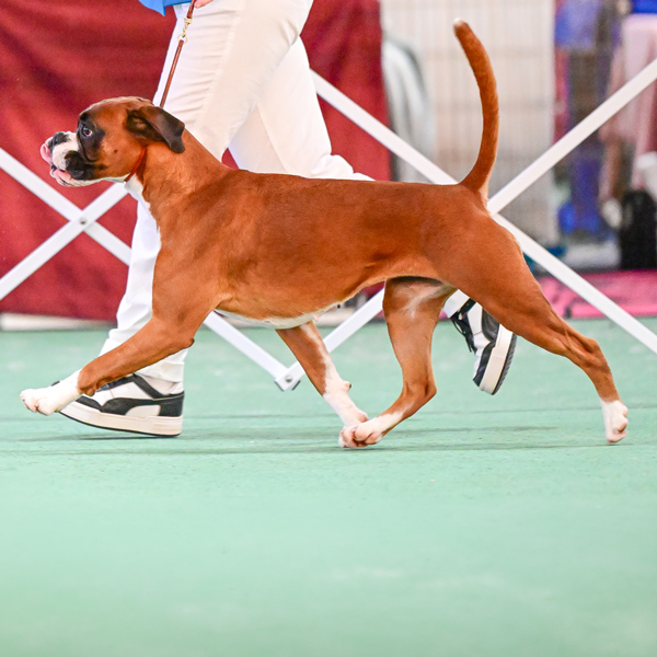 Tilly-on-the-move-2
