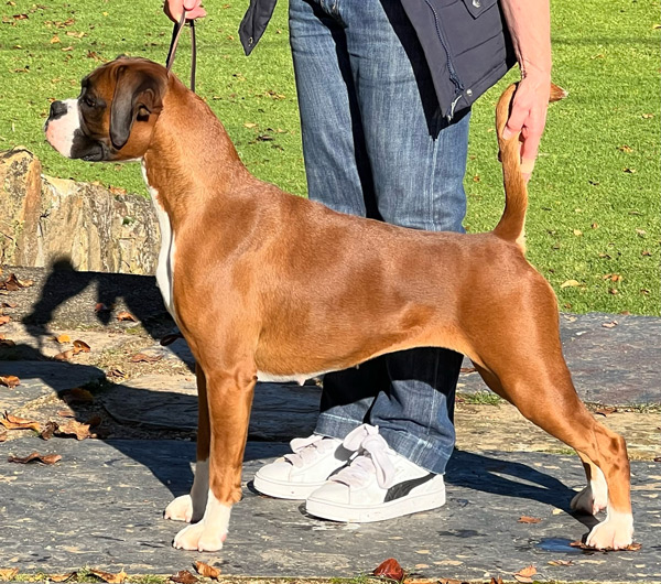 Tilly-training-stack Kesdar colour My World, Frankie